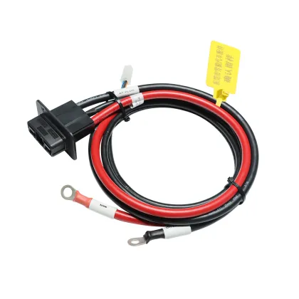 Hot new energy sweeper power cord connecting cable