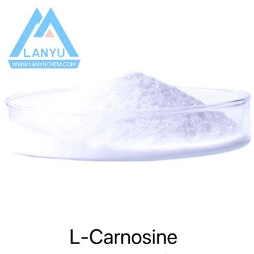 L-carnosine Powder CAS 305-84-0