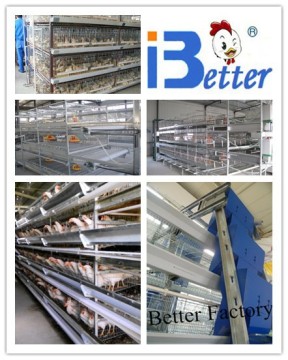 BT Factory hot-sale H type broiler chiken cages for Kenya poultry farm