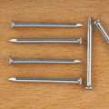 Electro Galvanized Nails for Construction Electro Galvanized Common Nails Supplier