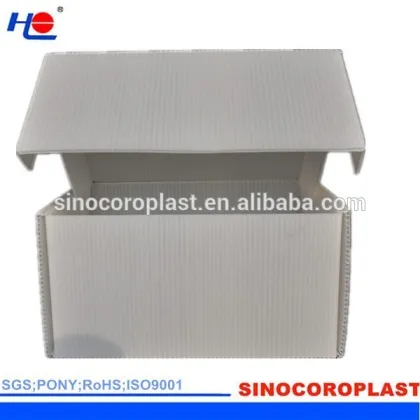 Plastic Tab Lock Corrugated Box