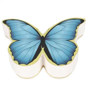 Customized texture butterfly shaped gift box