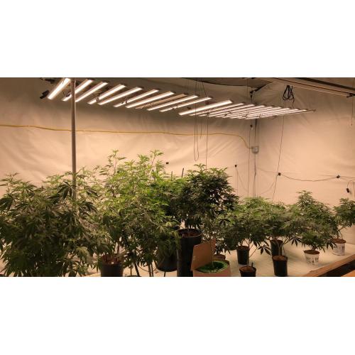 400W groeiende lamp voor indoor planten aluminium bar