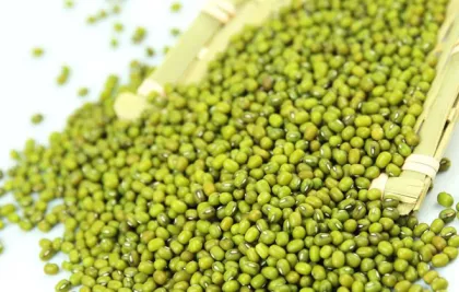 Mung Bean