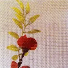 window screen