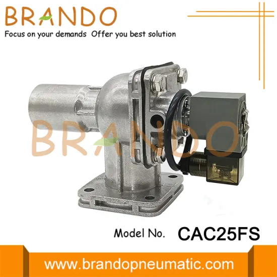 CAC25FS CAC25FS010-305 Pulse valve Flanged valve 1inch