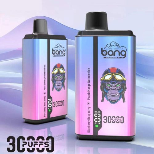 Bang 30000Puffs Eshishs Dual Mesh Coil Disposable Vape