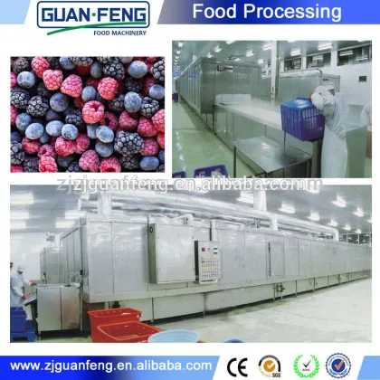 Vegetable And Fruit Quick Freezing Liquid Nitrogen Tunnel Freezer