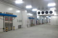 Fish Processing Cold Storage Room