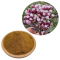 Premium Eupatorium Fortunei Extract for Enhanced Digestive Function