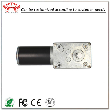 4058 Worm Gear Reducer Motor With Dual Shaft