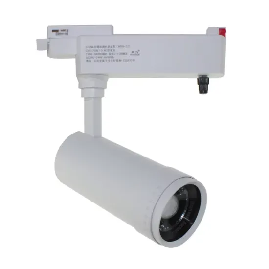 LEDEAST T088 COB LED Track Light - 10W to 30W, Dimmable with Zoomable Spotlight for Museums