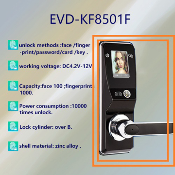 US standard intelligent lock