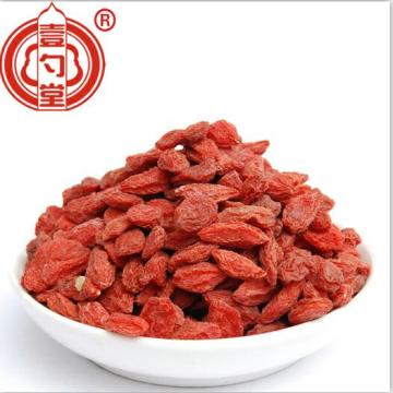 Bayas secas de Goji Berry rojas gruesas