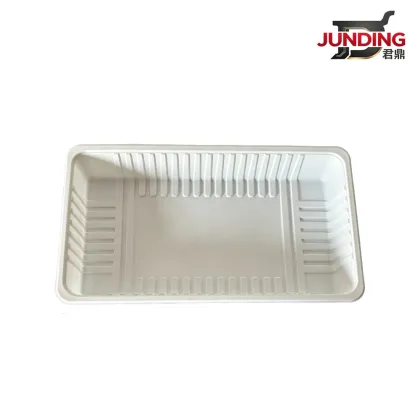 Disposable Plastic Food Tray