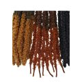 Capelli all'uncinetto Butterfly‑A Butterfly Locs