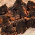 Polisaccaride ad alta purezza 50% Estratto di funghi Chaga in polvere