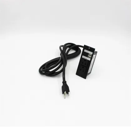 Socket With Dual USB Recessed Sockets