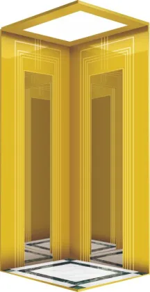 Custom Handicap Elevator Lifts and Wheelchair Lifts