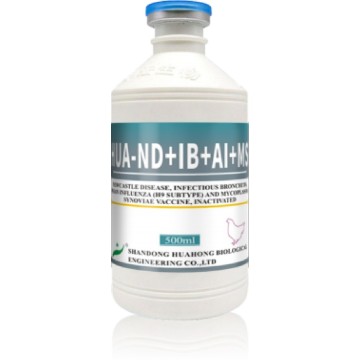 Vaccin inactivé ND IB H9 MS