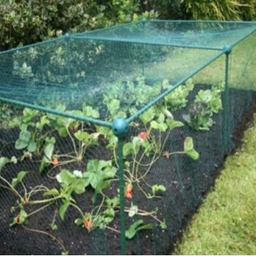 Mesh in plastica HDPE Bird Control Mesh Green