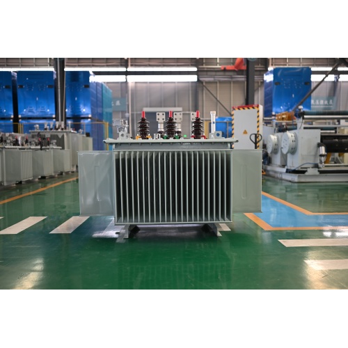 S20-M-800 10KV Oil Immersed Power Transformer