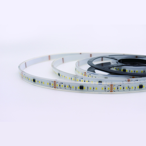 Flex 12mm led light DMX512 blanca SMD 2835 Addressable LED Pixel tape Light 12 pixel