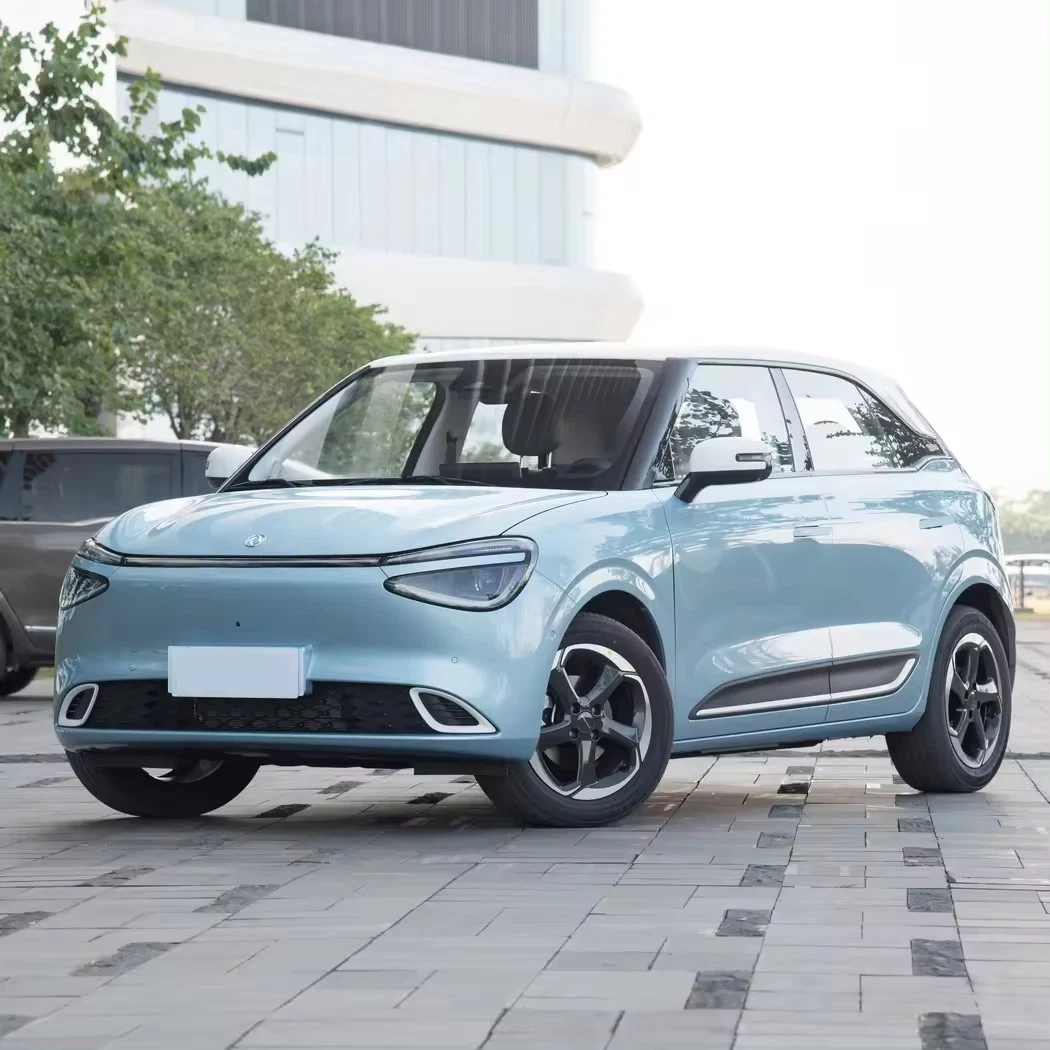 High Efficiency Mini Electric Car Nano 01 2024