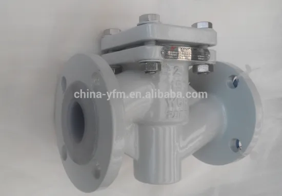 through-way PFA Lined lift check valve manufacturer