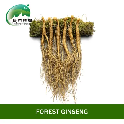 Premium Changbai Mountain Ginseng