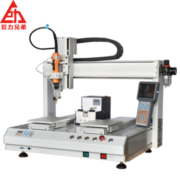OEM Dual Table Automatic Screw Fixing Machine with Robotic Arm