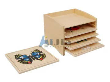 montessori-insets wooden puzzle materials