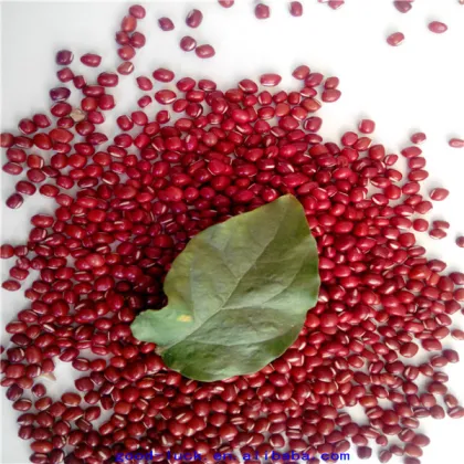 new crop azuki beans(heilongjiang)
