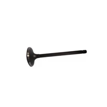 Auto Parts Engine System Intake Exhaust Valve Kits for GWM Great Wall Wingle Steed Haval 2.8TC