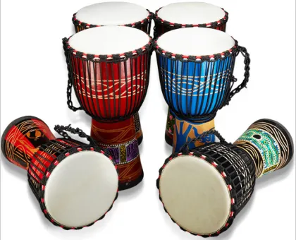 Professional African Drum Instruments: Focus on Djembe Percussion