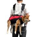 Mochila transportadora para perros en bicicleta