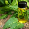 Aceite de semilla de neem de la India Chinaberry