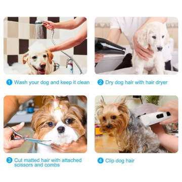 Set di grooming per animali domestici ricaricabile USB