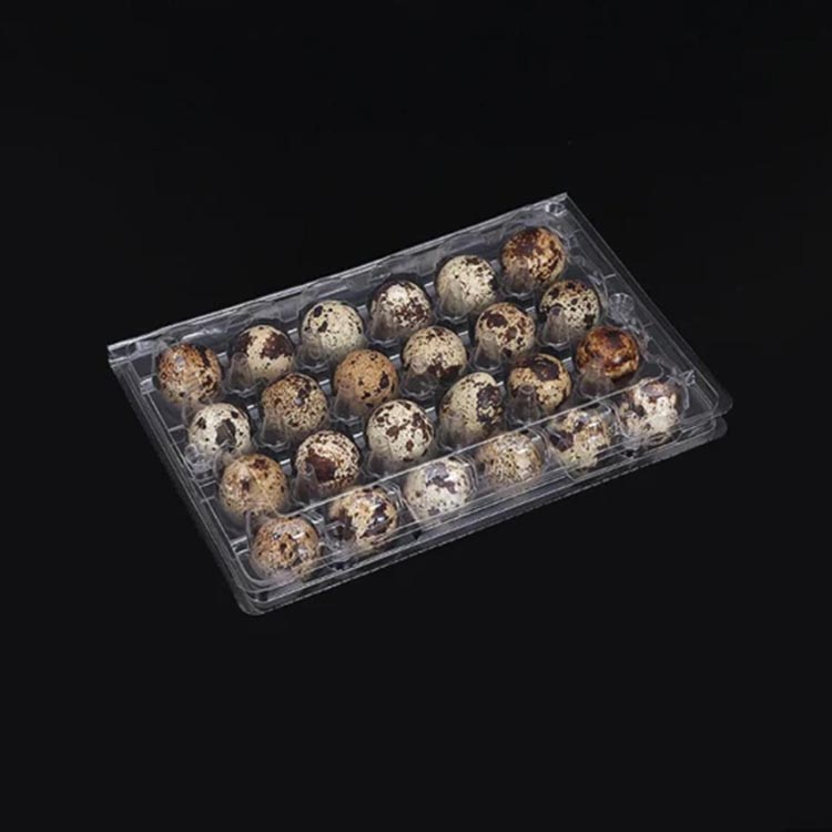 Recyclable quail egg cartons clear plastic egg tray