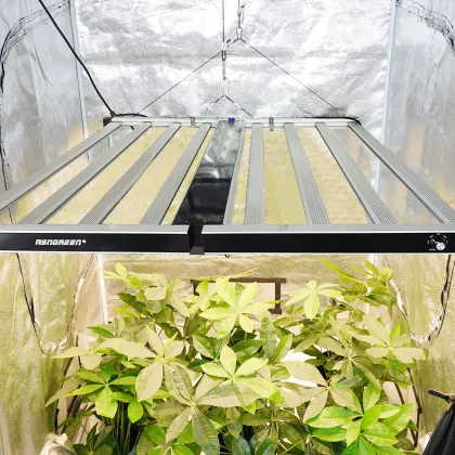 Lumatek 660nm Samsung LED Grow Light for Hydroponics