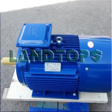 LANDTOP Y2 3 Phase Electric Motor 200 HP