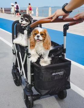 Compact Small Pet Stroller for Airline Travel