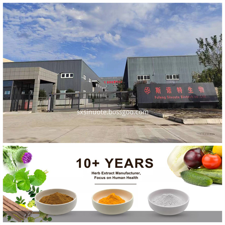 Plant Extract Factory