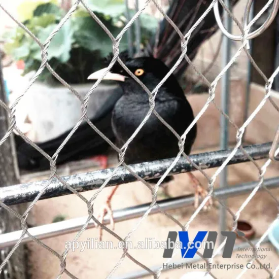 SS 316 Zoo Mesh(Aviary Mesh)