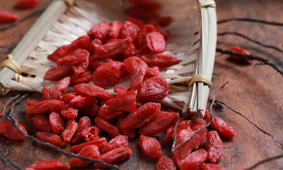 dried goji berries fruit