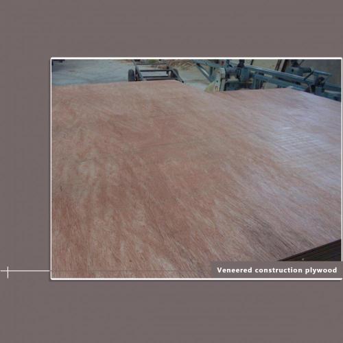 15 mm Packaging Plywood 1220 × 2440 mm