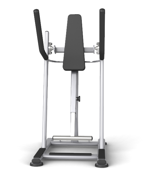 Vertical Moving Leg Raise