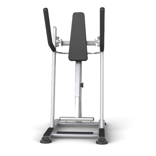 Vertical Moving Leg Raise