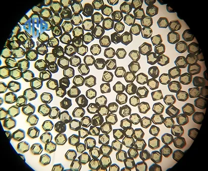 Advanced Single Crystal Diamond Materials