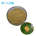 Shell-broken Pine pollen Powder(Protein ≥ 10.0%)